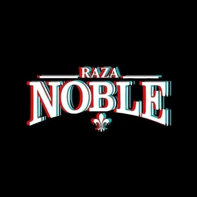 @raza_noble profile image