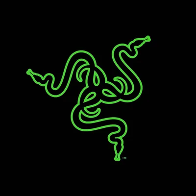 @razerbrasil profile image