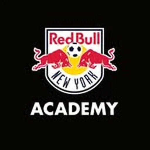 @rbnyacademy profile image