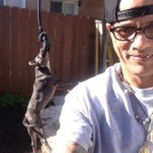 @realdavidlabrava profile image