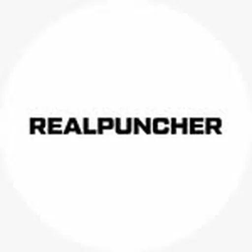 @realpuncher_fs profile image