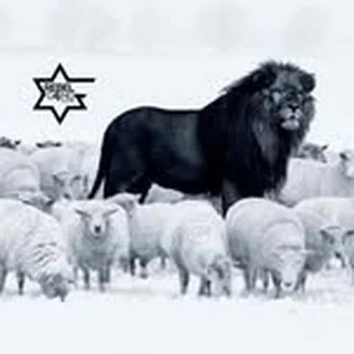 @rebel_gong profile image