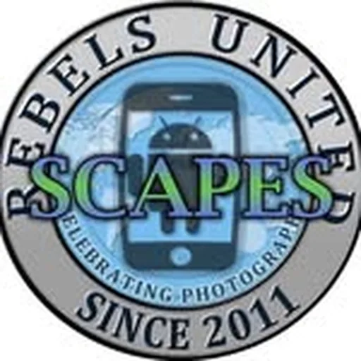 @rebel_scapes profile image