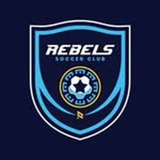 @rebelssc profile image