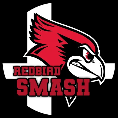 @redbirdsmash profile image
