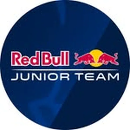 @redbulljuniorteam profile image
