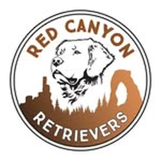 @redcanyonretrievers profile image