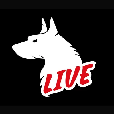 @reddoglive profile image
