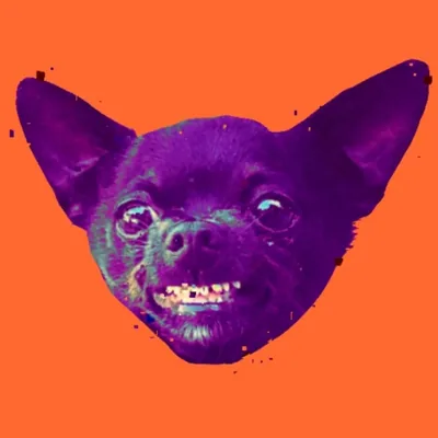 @reed_cesare profile image