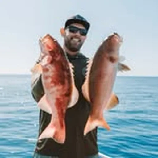 @reel_destinations profile image