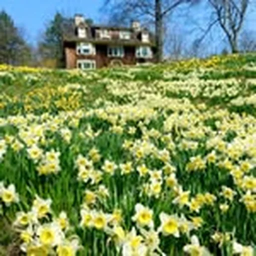 @reevesreedarboretum profile image