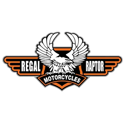@regal_raptor profile image