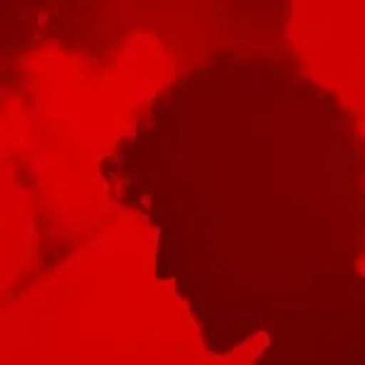 @reimysoulfood profile image