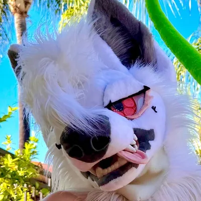 @reindead profile image