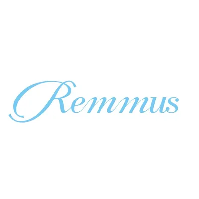 @remmus.n profile image