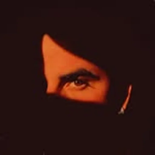 @renewise profile image