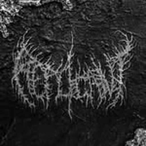 @replicantnj profile image