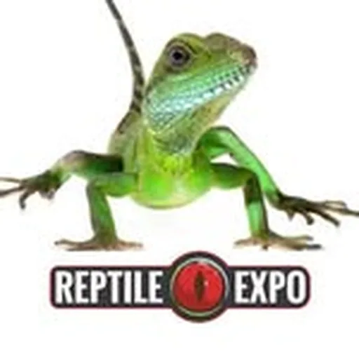 @reptileexpo profile image