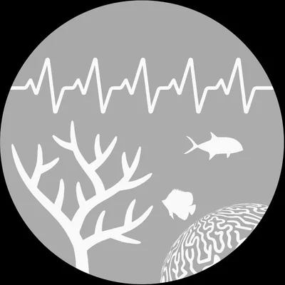 @rescueareef profile image