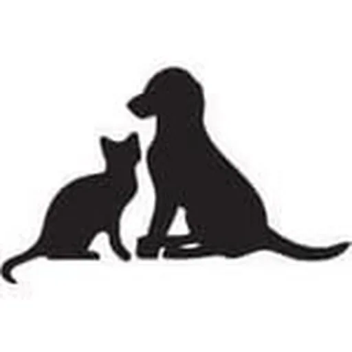 @rescuepetconnect profile image