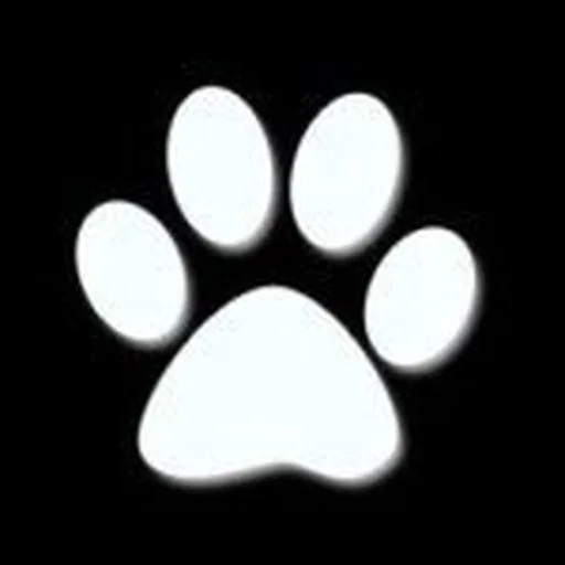 @rescuepetsofinstagram profile image