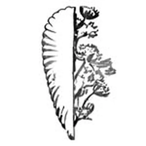 @restaurantlebnyc profile image