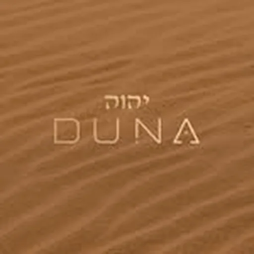 @reveillon.duna profile image