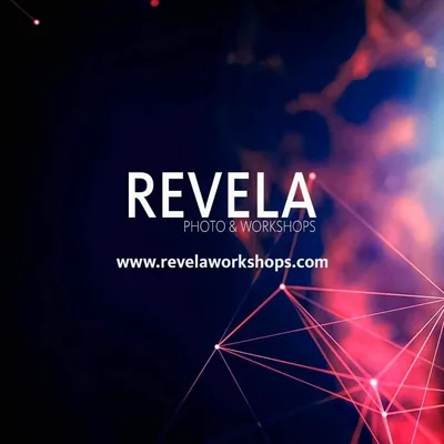 @revelaws profile image