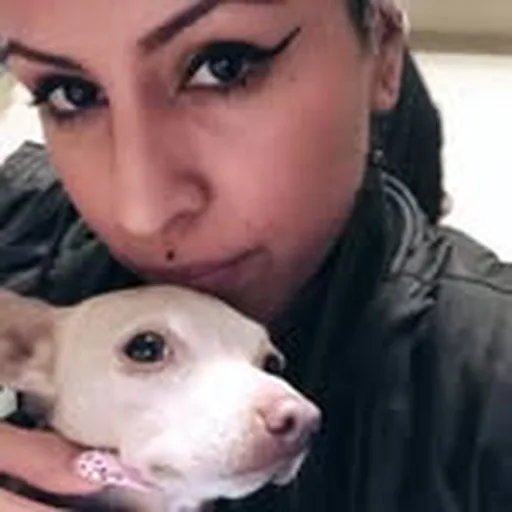 @reverielove profile image