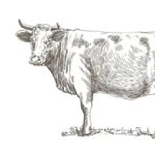 @rge_rd profile image