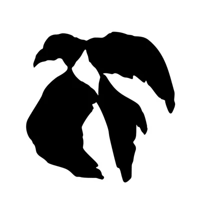 @richefenix profile image