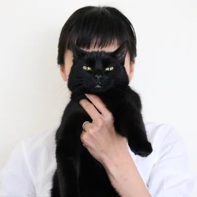 @rina_takei profile image