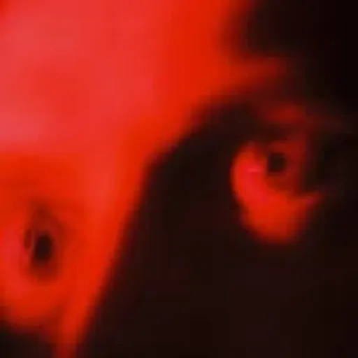 @rivertiber profile image