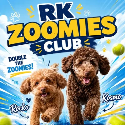 @rkzoomiesclub profile image
