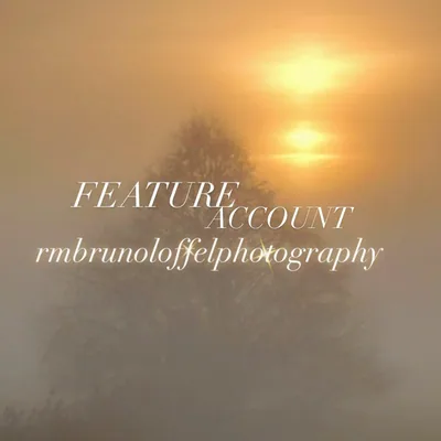 @rmbrunoloffelphotography profile image