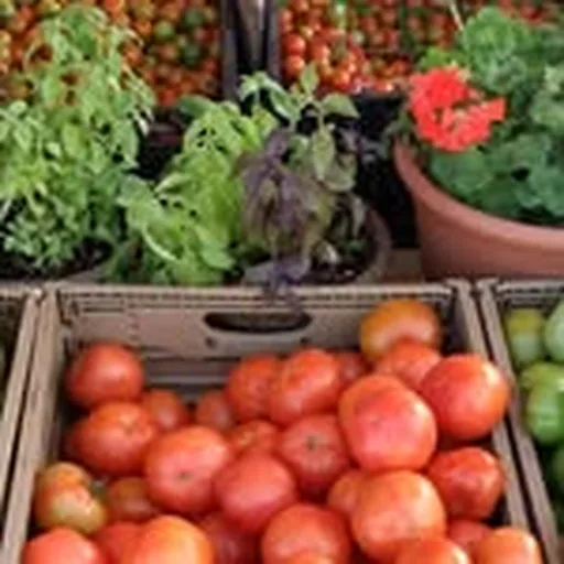 @roadrunnerparkfarmersmarket profile image