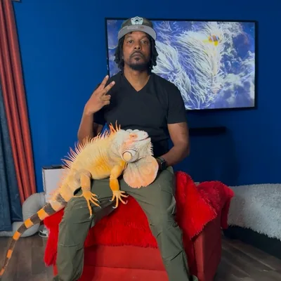 @rocket_the_iguana profile image