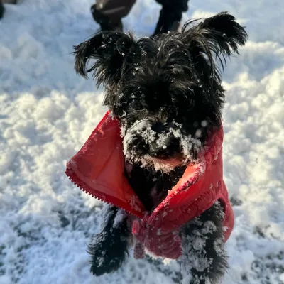@rockyandmaggies profile image