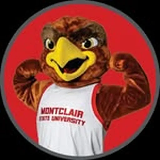 @rockyredhawk profile image