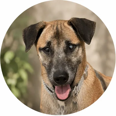 @rockysroommates profile image