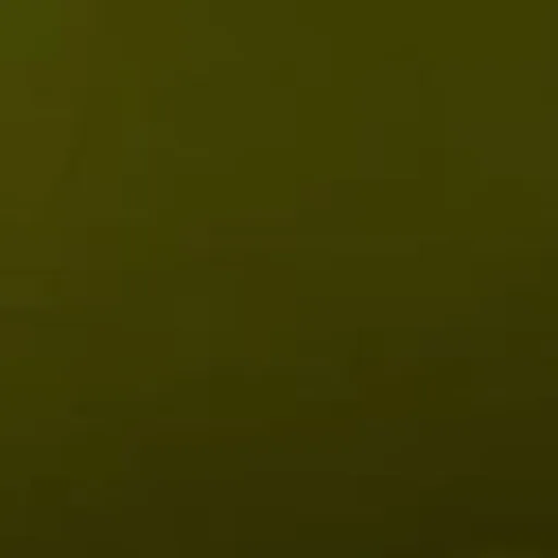 @roemsha profile image