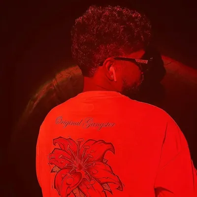 @rohit_diwaker profile image