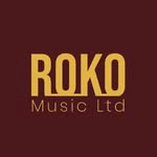 @rokopublishing profile image