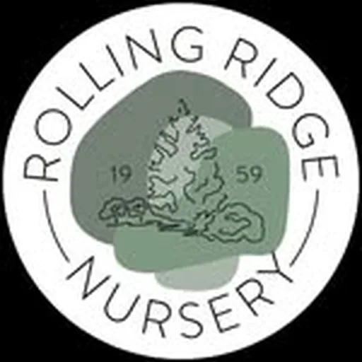 @rollingridgenursery profile image