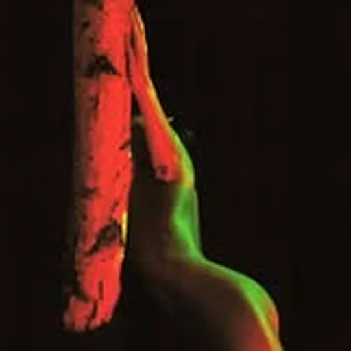 @romashova_ola profile image
