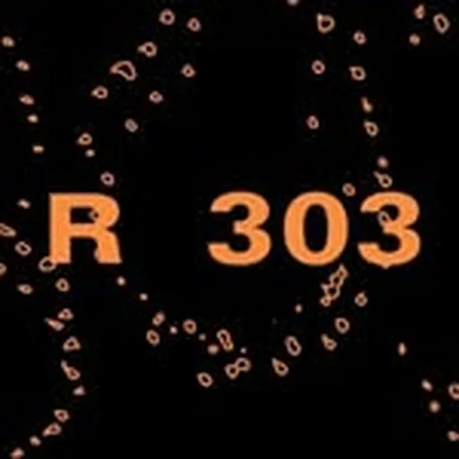 @room303radio profile image