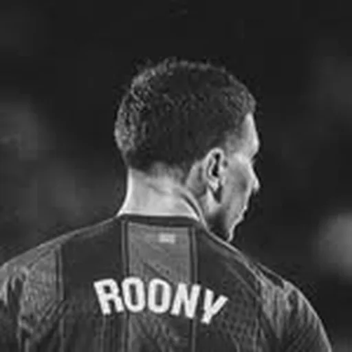 @roony profile image