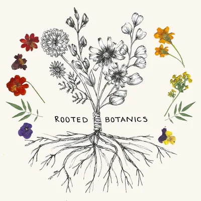 @rootedbotanics profile image