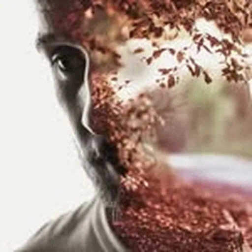 @roryfriers profile image
