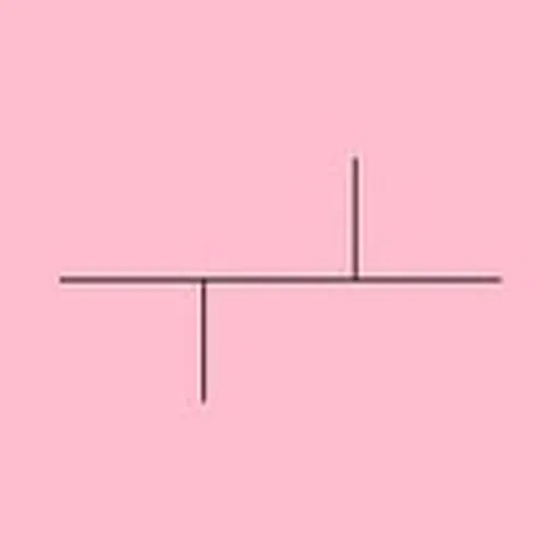 @rose.beton profile image